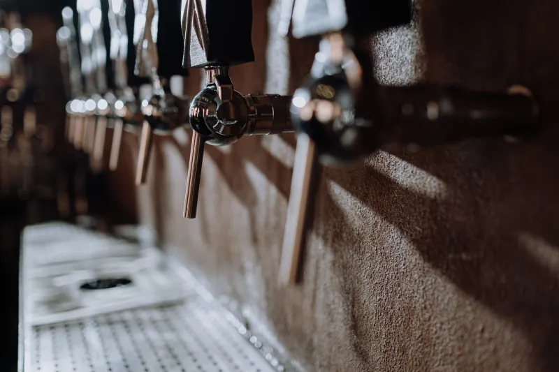 Stop Guessing at the Tap: Your No-Nonsense Breakdown of Every Keg Coupler Type